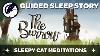 A Holiday At The Weasley Burrow Guided Sleep Story Inspired By The World Of Harry Potter