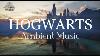 Harry Potter Ambient Music Hogwarts Relaxing Studying Sleeping