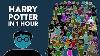 Harry Potter In 1 Hour