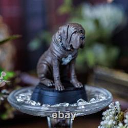 Harry Potter Magical Creatures Collection Figure Complete Set Fantastic Beasts