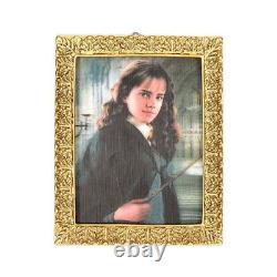 Harry Potter Portrait Magnet Collection 8 Complete Set