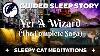 Harry Potter Sleep Story Collection Yer A Wizard Combined Parts 1 4 Black Screen Music U0026 Sfx