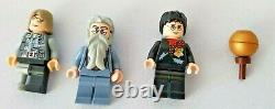 LEGO 4767 Harry Potter HARRY and THE HUNGARIAN HORNTAIL 100% complete NICE