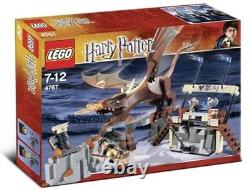 LEGO (4767) Harry Potter Harry and Hungarian Horntail 100% Complete Read Desc