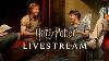 Live Harry Potter Life In The Wizarding World 24 7 Livestream