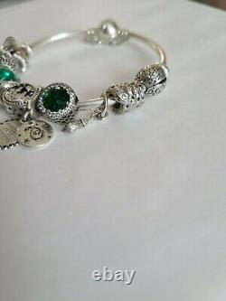 Pandora Charm Bracelet Slytherin Themed Bracelet Complete with Charms