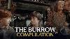The Burrow Compilation Harry Potter