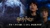 The Forbidden Forest Compilation Harry Potter