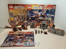 4767 Lego Complete Harry Potter Gobelet Of Fire Et Le Horntail Hongrois 100%