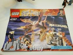 4767 Lego Complete Harry Potter Gobelet Of Fire Et Le Horntail Hongrois 100%