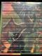 Ensemble Complet De Livres Broché Harry Potter 1-7 (rowling) - Tout Neuf Sous Film Plastique