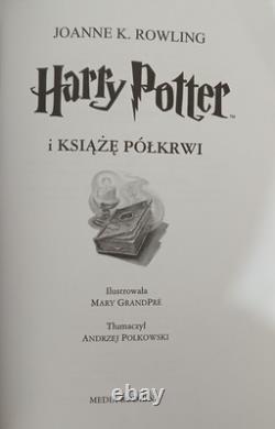 Ensemble de livres Harry Potter POLONAIS JK Rowling Pologne Importation complète 2006 TPB