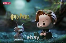 Harry Potter Wizarding World Animal Blind Box Series Par Pop Mart