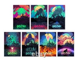 Ian Permana Harry Potter Ensemble Complet BottleNeckGallery