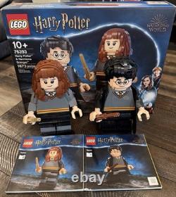 LEGO Harry Potter Harry & Hermione Minifigs Agrandis (76393) Complet Avec Boîte