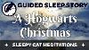 La Veille De Noël À Hogwarts Une Histoire De Sommeil Guidée Inspirée Par Le Monde D'harry Potter