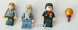 Lego 4767 Harry Potter Harry Et Le Horntail Hongrois 100% Complet Nice